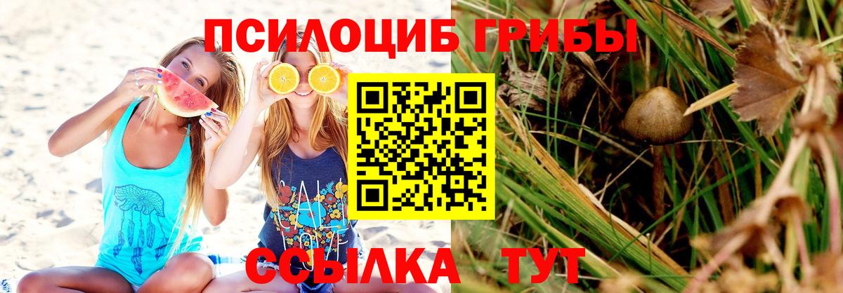 сколько стоит  Галлюциногенные грибы прущие грибы  Вход с VPN  Кызыл 