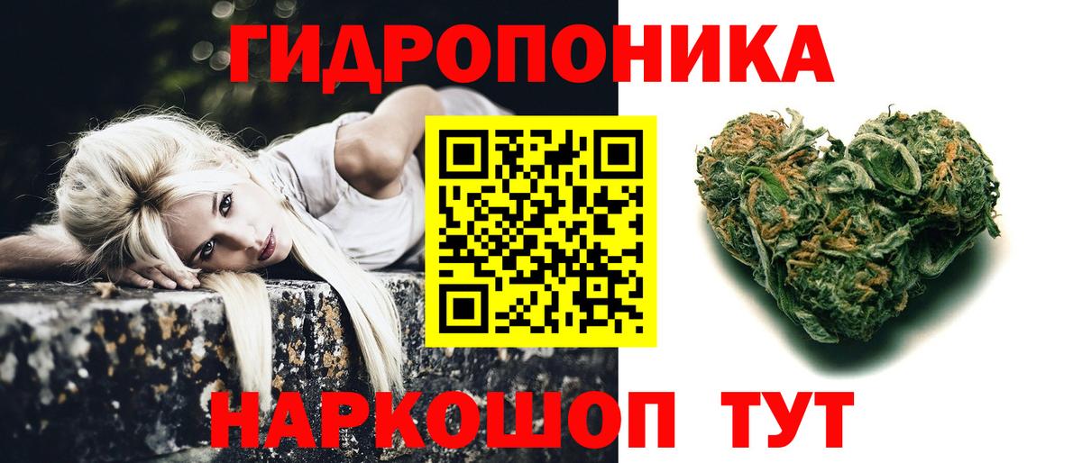 Шишки марихуана индика Кызыл